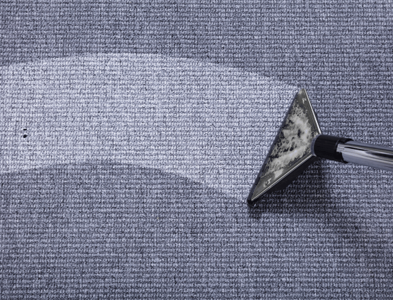 Professional Rug Cleaning Services in Auckland